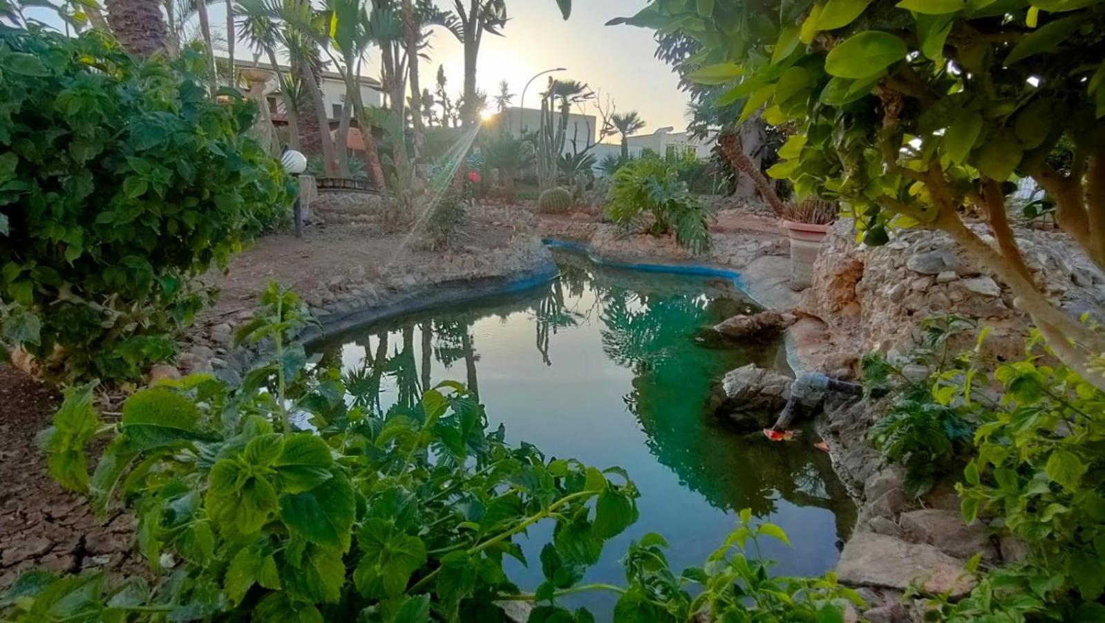 Stella Del Mare San Vito Lo Capo Apartment Exterior photo